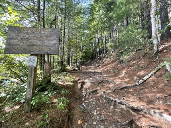 A wooden sign for The Pines trail