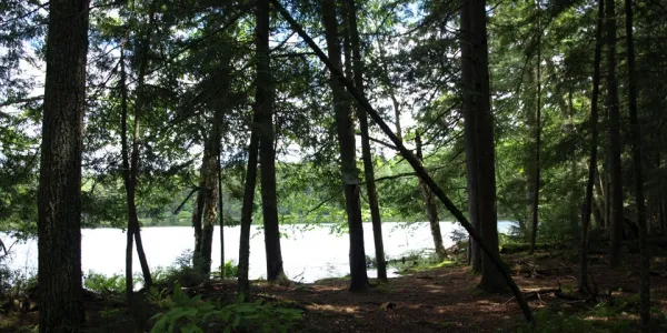 Round Pond from shore