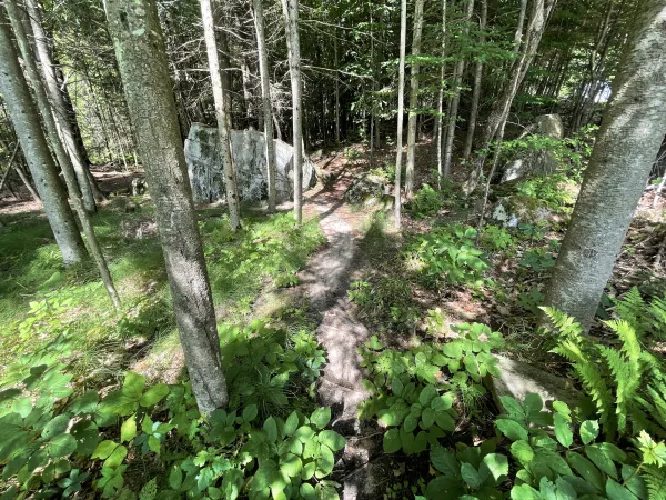 sunset park trail
