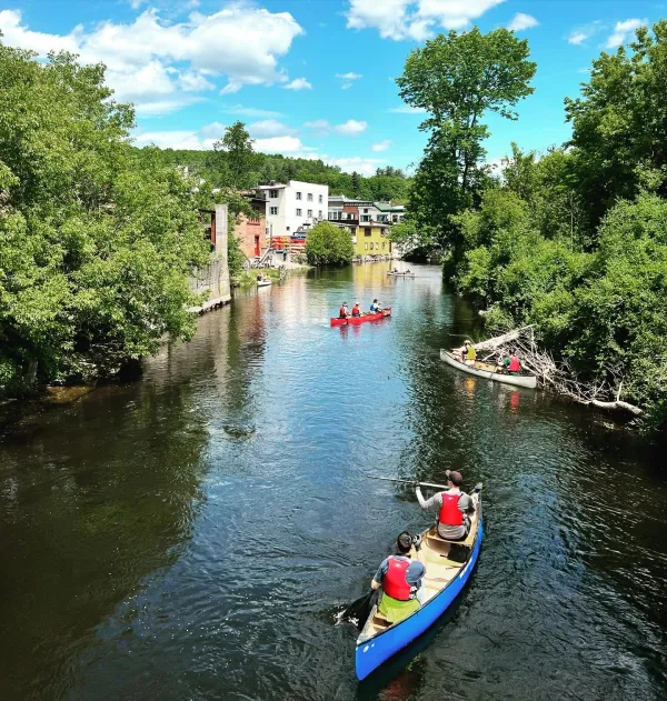 Aerial view of people paddling towards town.