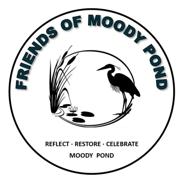 A heron and cats tails plant with Friends of Moody Pond