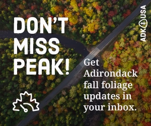 Don't miss peak!