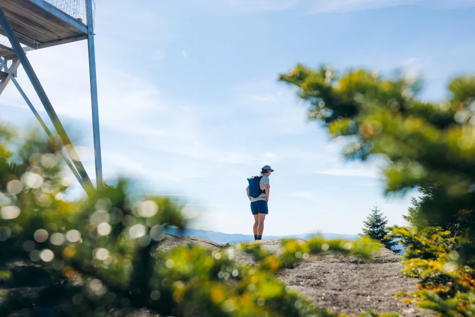 A single hiker stands on a rocky summit, framed by pine trees.