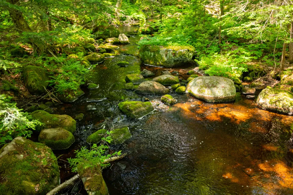 Spring hiking in the Adirondacks.