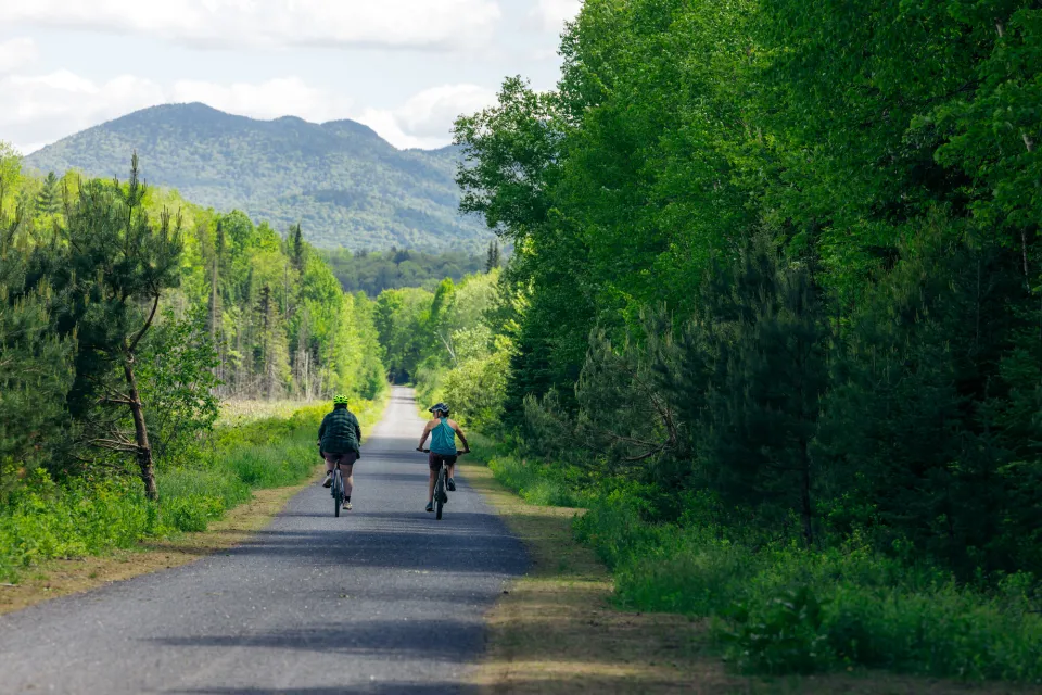 Two people cycling down path during the summer.